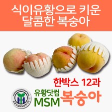유황닷컴 MSM 복숭아 (1박스 12과)