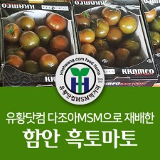 유황닷컴MSM 함안 흑토마토4kg