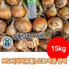 MSM으로 재배한 전북 고창 양파