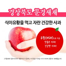 유황닷컴MSM사과