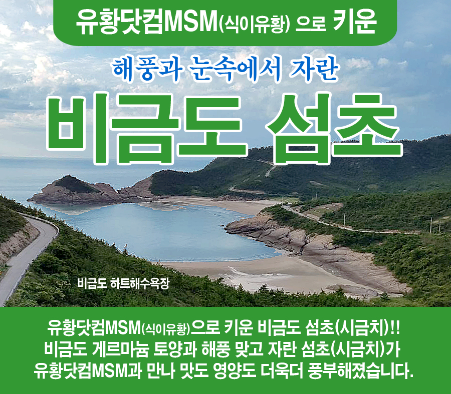 유황닷컴MSM 비금도섬(시금치)