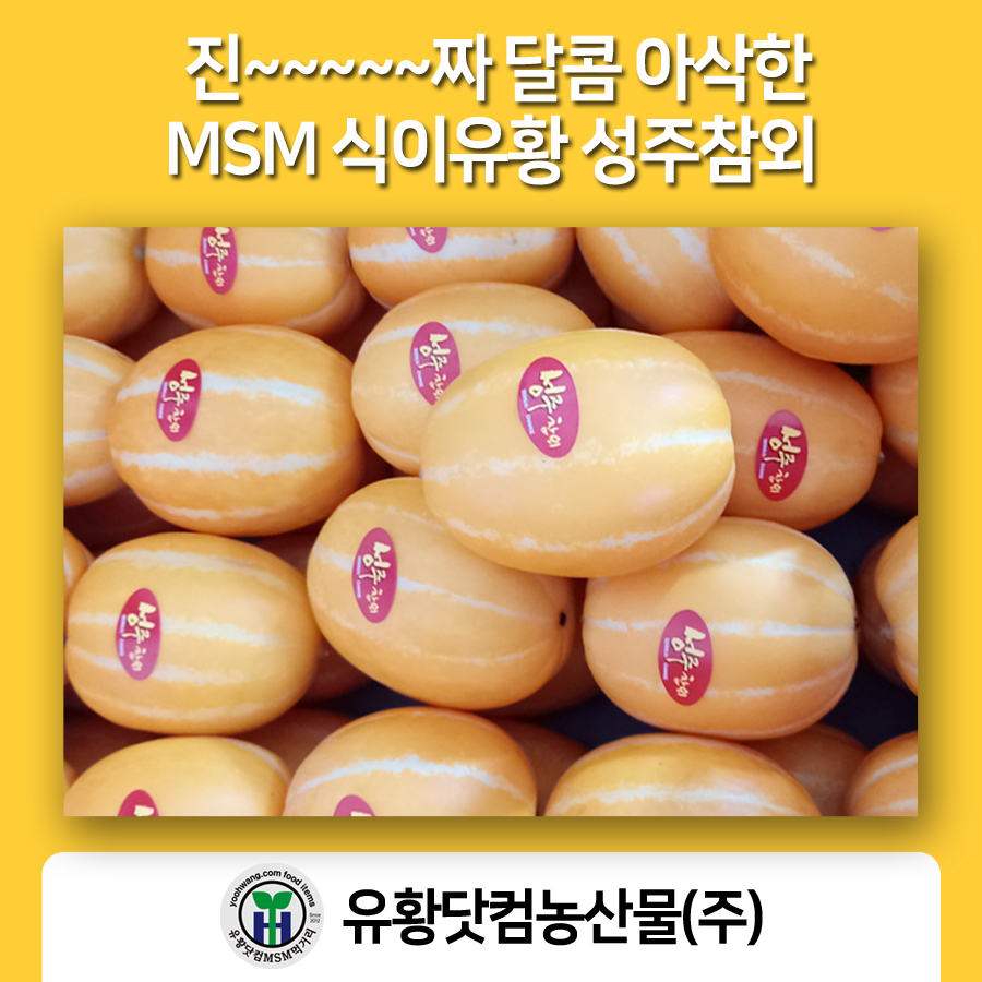 MSM으로 키운 달콤 아삭한 성주참외